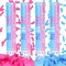 Gender Reveal Confetti Cannon - Set of 4 (2 Blue + 2 Pink) for Stunning Baby Gender Announcements, Perfect Gender Reveal Cannon for Parties and Celebrations